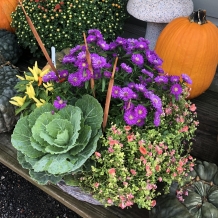 Colorful Fall Baskets & Planters