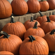 Carving Pumpkins of Every Size