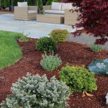 A layer of organic mulch can be extremely beneficial when properly applied.